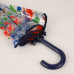 Umbrella for kids